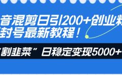 抖音混剪日引200+创业粉不封号最新教程!“割韭菜”日稳定变现5000+!