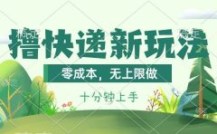 撸快递最新玩法,零成本,无上限做,日产1000+。课程看完就会