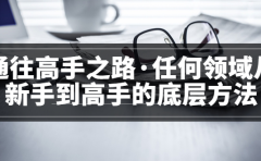 <通往高手之路·任何领域从新手到高手的底层方法>完结