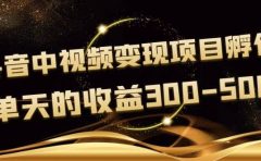黄岛主《抖音中视频变现项目孵化》单天的收益300-500 操作简单粗暴
