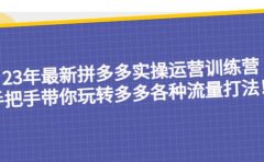 23年最新拼多多实操运营训练营：手把手带你玩转多多各种流量打法！