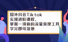 Tiktok实操进阶课程，掌握一项新的流量变现工具，学完即可落地