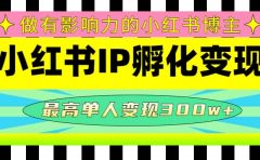 某收费培训-小红书IP孵化变现:做有影响力的小红书博主