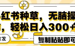 全网首发小红书种草，无脑操作，复制粘贴即可，轻松日入300+