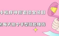 抖音小程序神图君撸金项目,用手机每天拍个手型挂载一下小程序就能赚钱