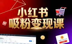 《小红书吸粉变现》当天变现不是梦!揭秘小红书吸粉变现的财富密码