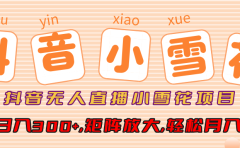 抖音无人直播，小雪花项目，单号日入300+,矩阵放大,轻松月入3W+