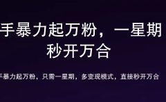 7 天万粉，吸金变现，日入斗金