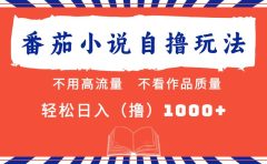 番茄小说最新自撸 不看流量 不看质量 轻松日入1000+