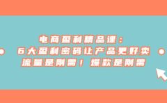 电商 盈利精品课：6大盈利 密码让产品更好卖，流量是刚需！爆款是刚需