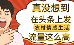 【万万没想到】在头条做《农村情感生活》二创小故事，收益暴增，昨天收益1300+
