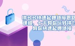 拼多多快速起爆链接思路1.0课程,七天教你玩转拼夕夕,教你快速起爆链接