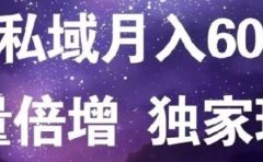 原力网赚精准私域月入60000+,流量倍增独家玩法