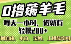 0撸薅羊毛项目，每天一小时，做就有轻松200+，宝妈、小白上班族均可做