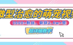 【揭秘】微型治愈的萌宠视频，3000+粉丝，6秒的视频、斩获2.4w+赞【附详细教程】