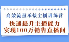 高效流量承接主播训练营:快速提升主播能力,实现100万销售直播间