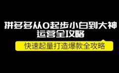 拼多多从0起步小白到大神运营全攻略