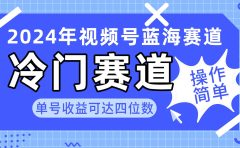 2024视频号冷门蓝海赛道，操作简单 单号收益可达四位数（教程+素材+工具）