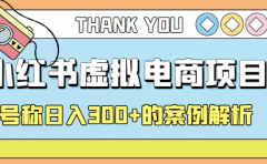 最新小红书项目-学科虚拟资料搞钱玩法，案例解析