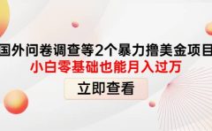 国外问卷调查等2个暴力撸美元项目,小白零基础也能月入过万