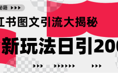 小红书图文引流，只需一张图片即可撬动百万流量，日引200+创业粉