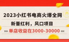 2023小红书电商火爆全网,新晋红利,风口项目,单店收益在3000-30000