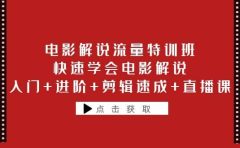 电影解说流量特训班：快速学会电影解说，入门+进阶+剪辑速成+直播课