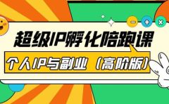 超级IP孵化陪跑课：个人IP与副业（高阶版）41节课