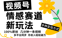 视频号情感赛道全新玩法,日入500+,5分钟一条原创视频,操作简单易上手,