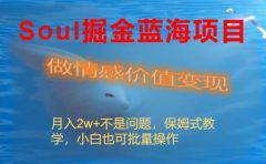 Soul掘金蓝海项目细分赛道，做情感价值变现，月入2w+不是问题