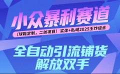 楠—小众暴利赛道(球鞋定制,二创项目)实体+私域2025王炸组合