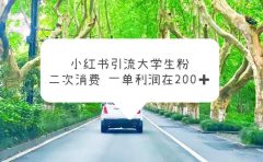 小红书引流大学生粉,变现项目,一单利润在200+(教程+资源)