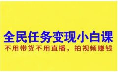 抖音全民任务变现小白课，不用带货不用直播，拍视频就能赚钱