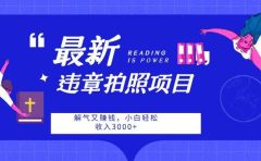 最新违章拍照项目，解气又赚钱，随手一拍，轻松收入3000