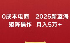 0成本电商2025新蓝海矩阵操作 月入5万+