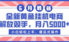 全新黄鱼挂机电商，解放双手，月入5000+