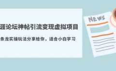 天涯论坛神帖引流变现虚拟项目，一条龙实操玩法分享给你（教程+资源）