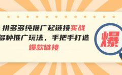 拼多多纯推广起链接实战:多种推广玩法,手把手打造爆款链接