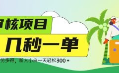 审核视频，几秒一单，多劳多得，新人小白一天轻松 300➕