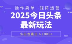 2025今日头条最新玩法，0粉可做，复制粘贴，小白也能日入1000+