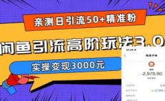 实测日引50+精准粉，闲鱼引流高阶玩法3.0，实操变现3000元