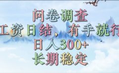 问卷调查，工资日结，有手就行，日入300+，长期稳定