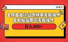 全网首发 小红书种草无脑操作复制黏贴即可 轻松日入300+