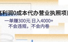 高利润0成本代办营业执照项目:不会违规,不会内卷