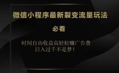 微信小程序最新裂变流量玩法,时间自由收益高轻松赚广告费,日入200-500+