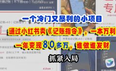 一个冷门又暴利的小项目,通过小红书卖《记账指令》,一本万利,一年变现80多万,谁做谁发财