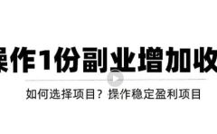 新手如何通过操作副业增加收入，从项目选择到玩法分享！【视频教程】