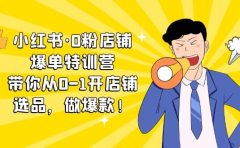 小红书·0粉店铺爆单特训营 带你从0-1开店铺，选品，做爆款（课程+工具包）