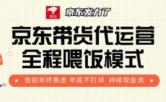 京东带货，代运营，利润55分