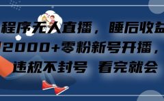 小程序无人直播，零粉新号开播，不违规不封号 看完就会+睡后收益单日2000